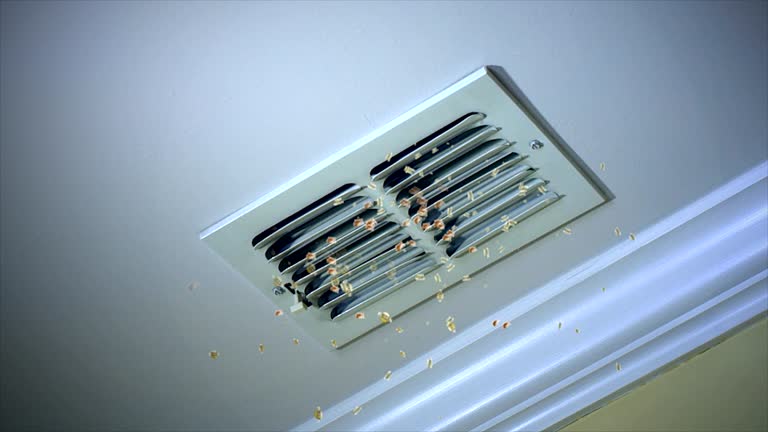 Best Affordable Air Duct Cleaning  in Fitzgerald, GA